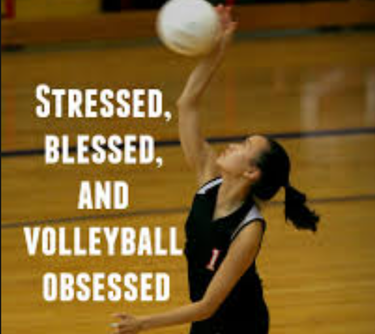 An image of the volleyball quotes motivational